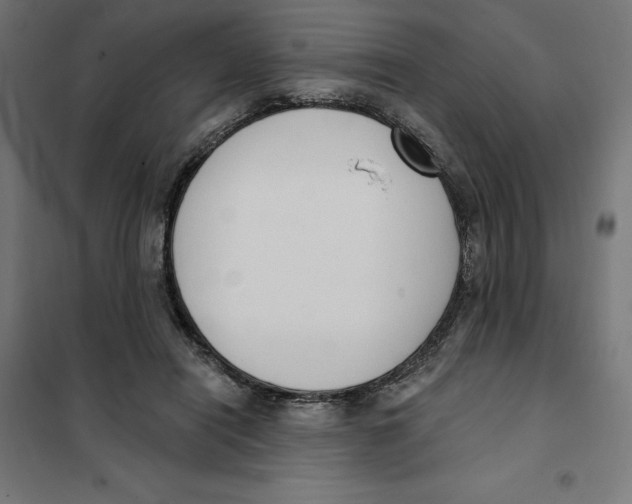 X0000101200454200807251030