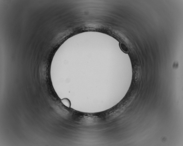 X0000101200455200807251030