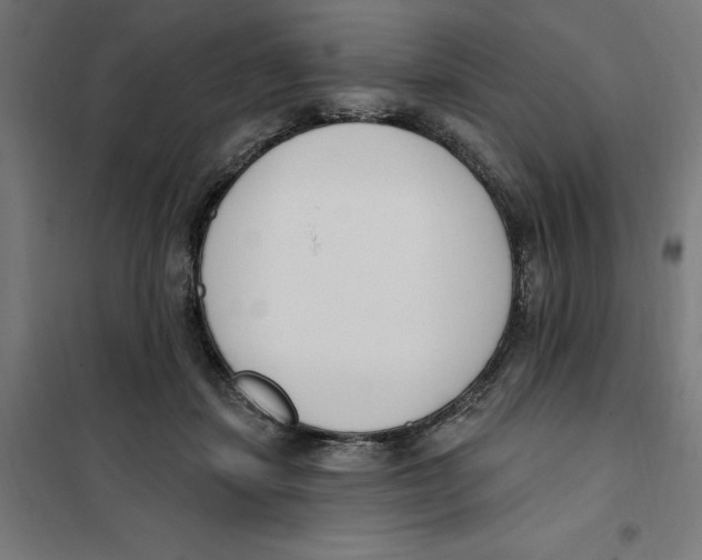 X0000101200459200807251030