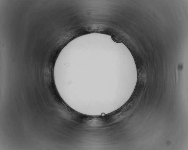 X0000101200460200807251030