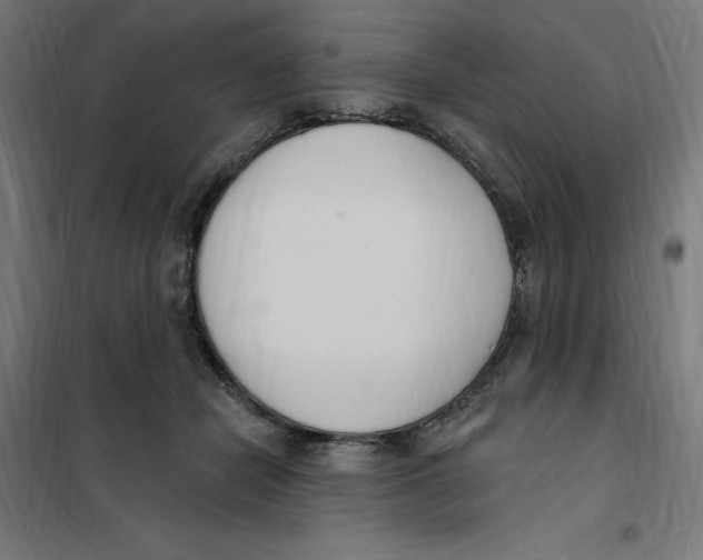 X0000101200462200807251030