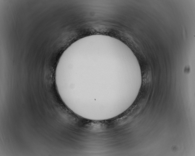 X0000101200464200807251030