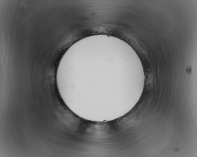 X0000101200466200807251030