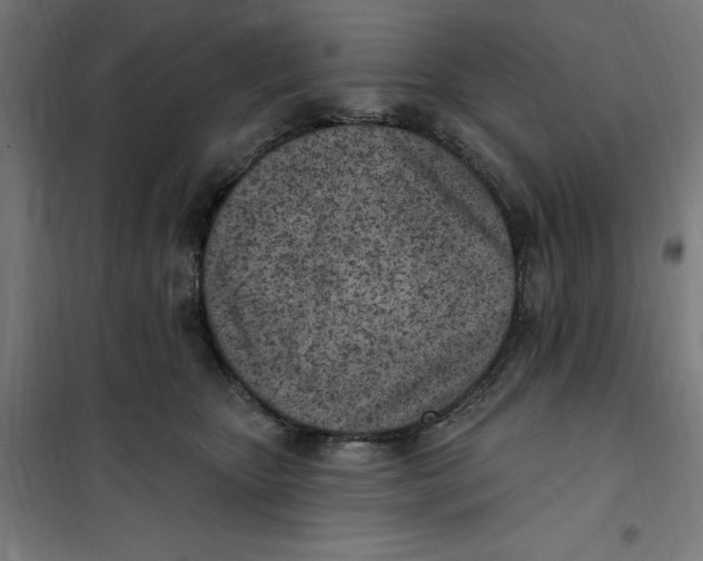 X0000101200467200807251030