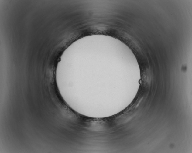 X0000101200468200807251030