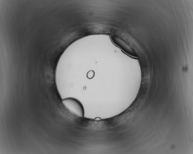 X0000101200469200807251030