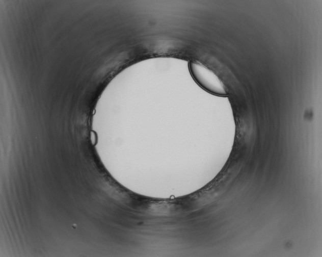 X0000101200470200807251030