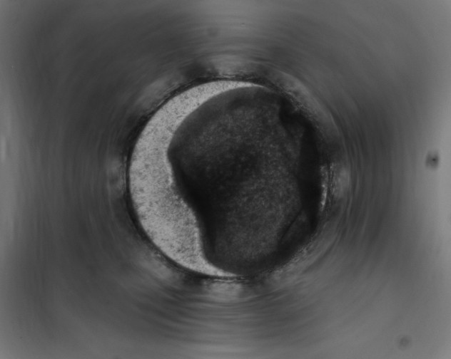 X0000101200471200807251030