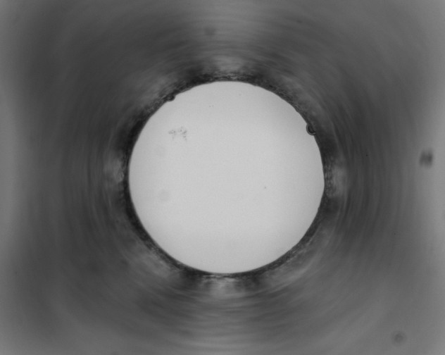 X0000101200472200807251030