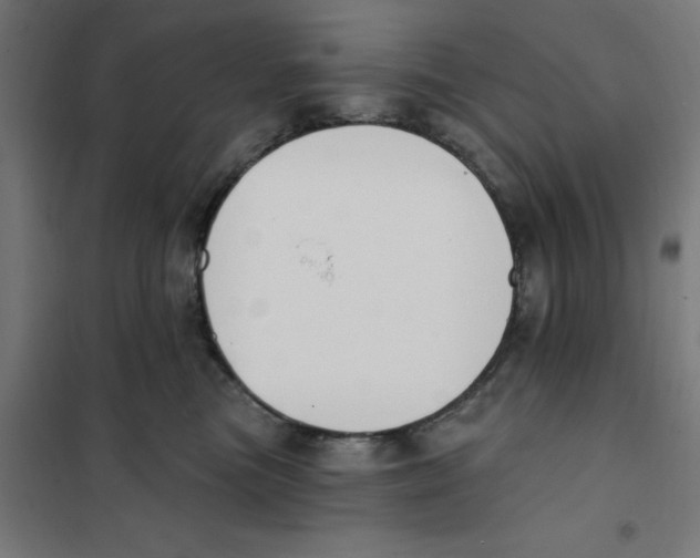 X0000101200473200807251030