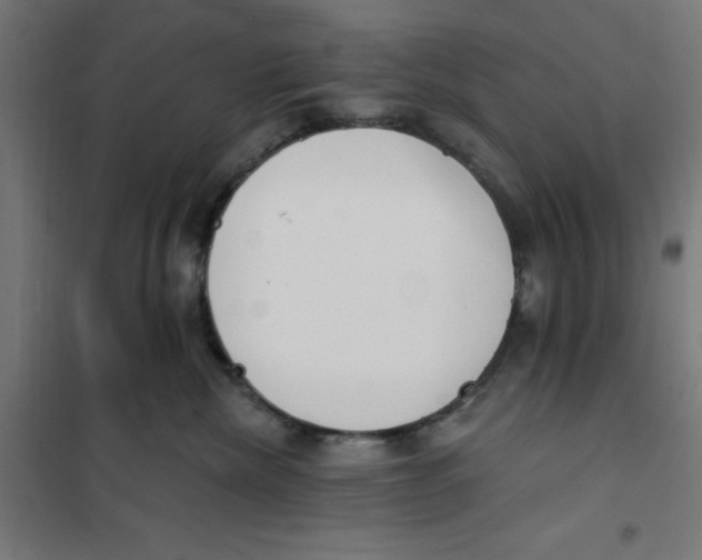 X0000101200476200807251030