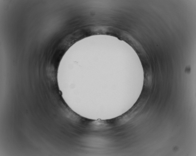 X0000101200477200807251030