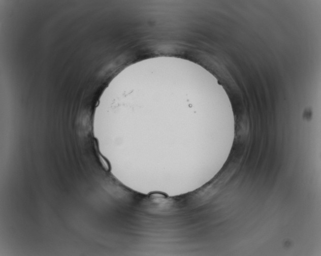 X0000101200478200807251030