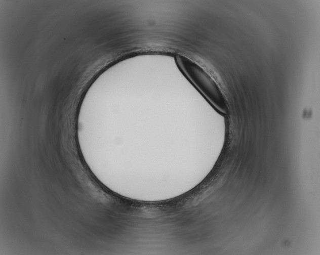 X0000101200481200807251029