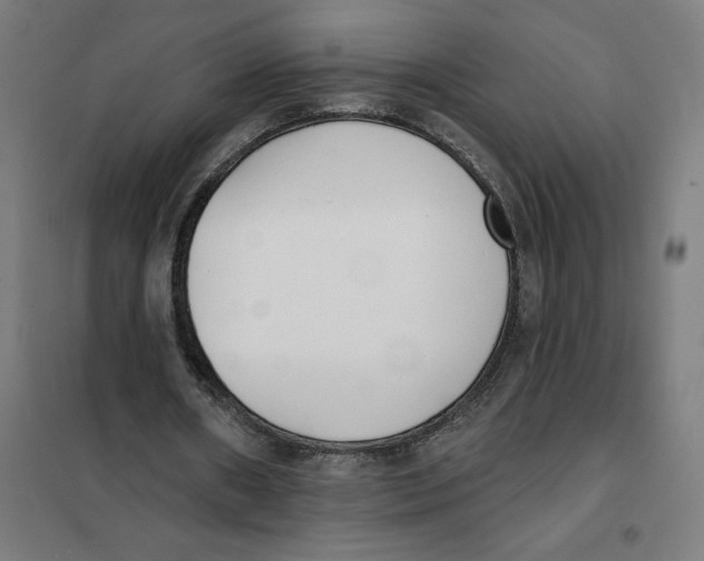 X0000101200482200807251029