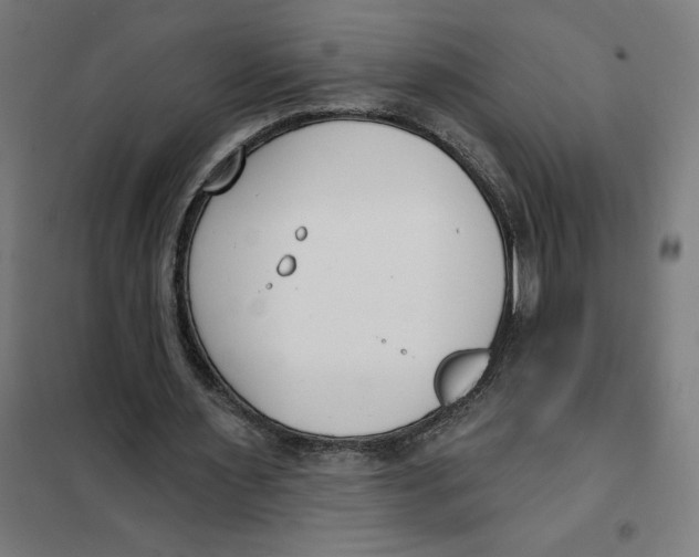 X0000101200483200807251029