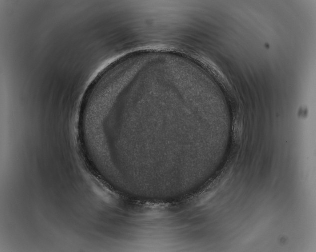 X0000101200484200807251029