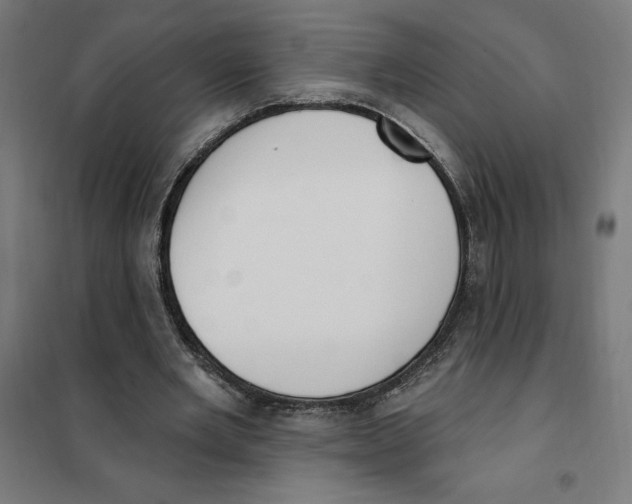 X0000101200485200807251029