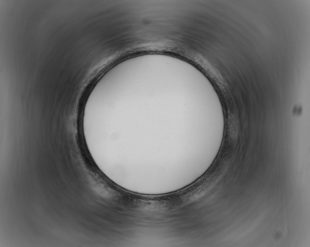 X0000101200486200807251029