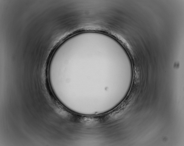 X0000101200487200807251029