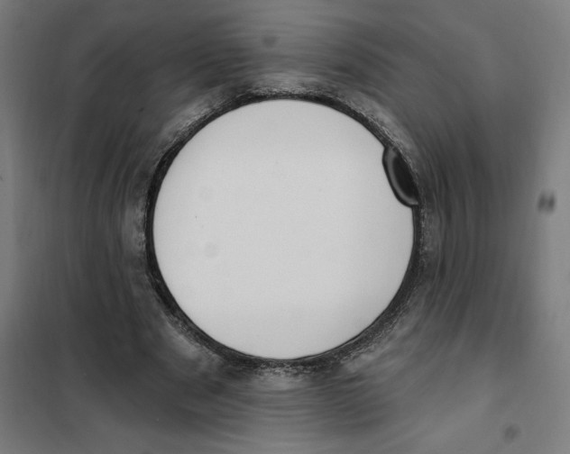 X0000101200489200807251029