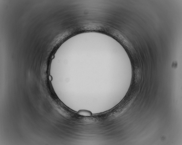 X0000101200490200807251029