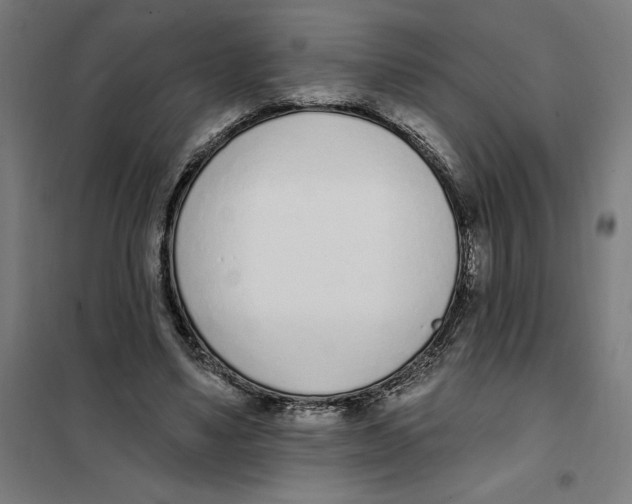 X0000101200491200807251029