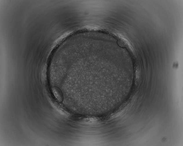 X0000101200492200807251029