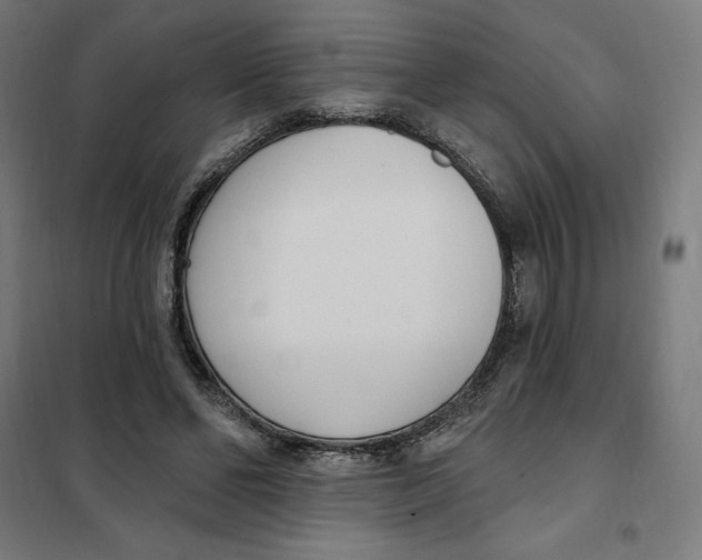 X0000101200494200807251029