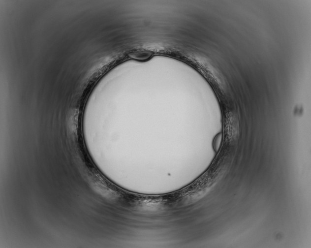 X0000101200495200807251029