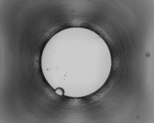 X0000101200497200807251029