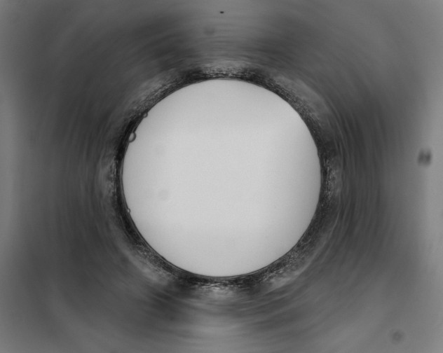 X0000101200498200807251029