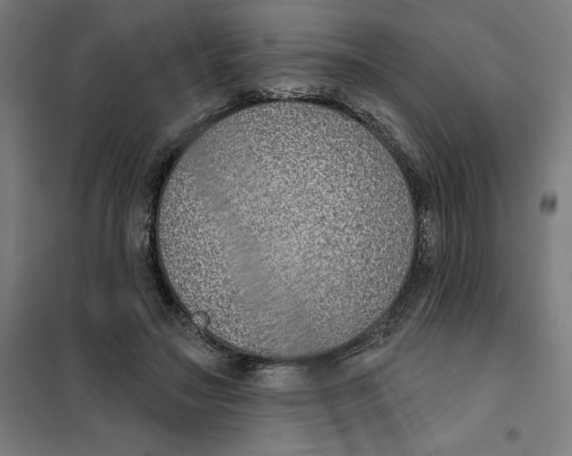 X0000101200499200807251029