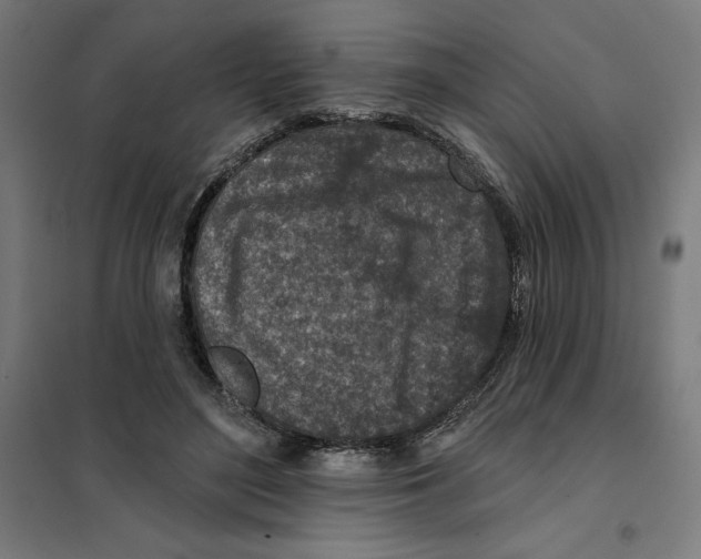 X0000101200500200807251029