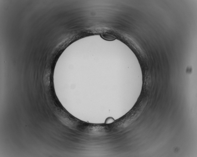 X0000101200501200807251029