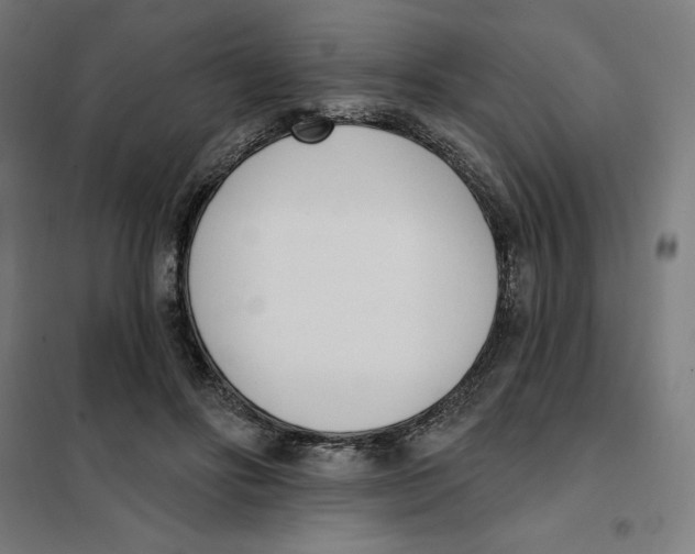 X0000101200502200807251029