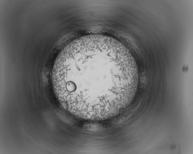 X0000101200503200807251029