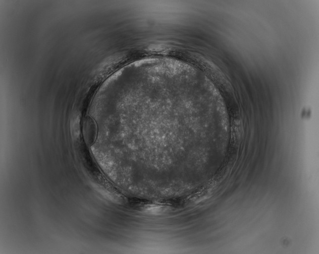 X0000101200504200807251029