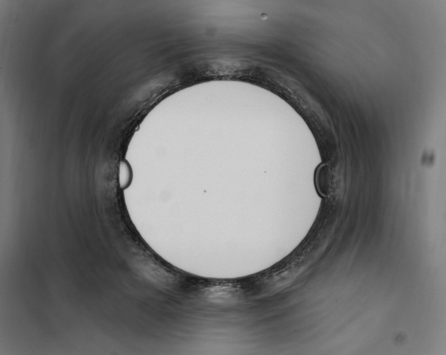 X0000101200505200807251029