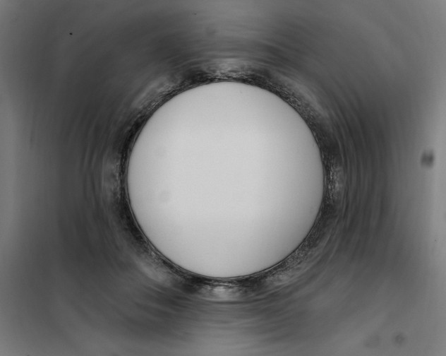 X0000101200506200807251029