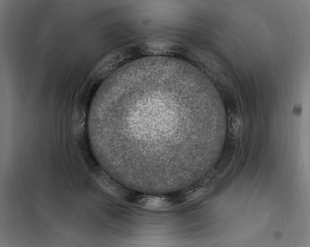 X0000101200507200807251029