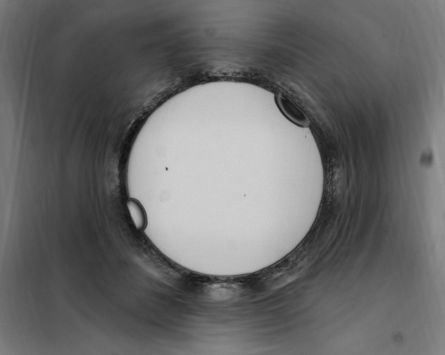 X0000101200508200807251029