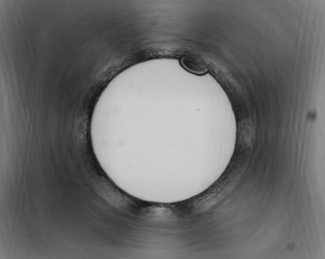 X0000101200509200807251029