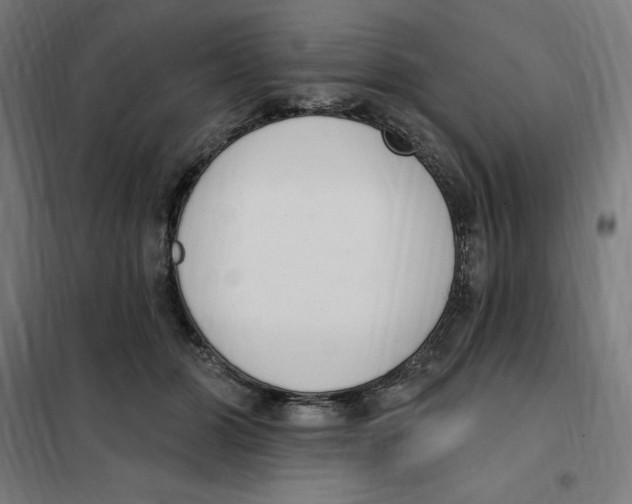 X0000101200510200807251029