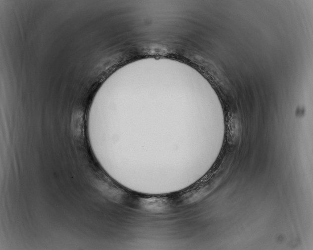 X0000101200511200807251029