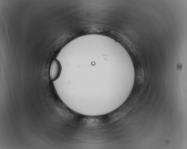 X0000101200512200807251028