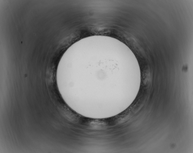 X0000101200515200807251028