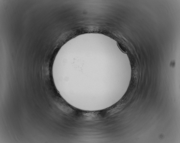 X0000101200516200807251028