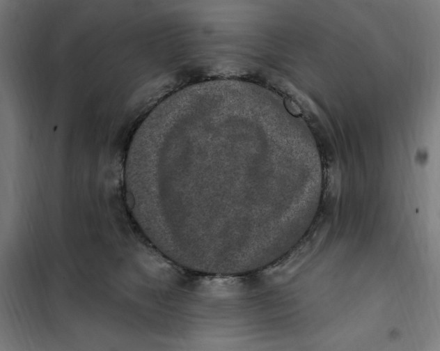 X0000101200517200807251028