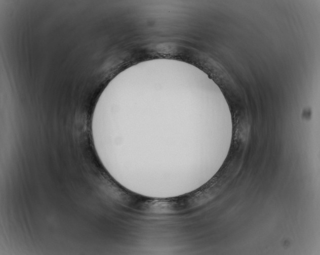 X0000101200518200807251028